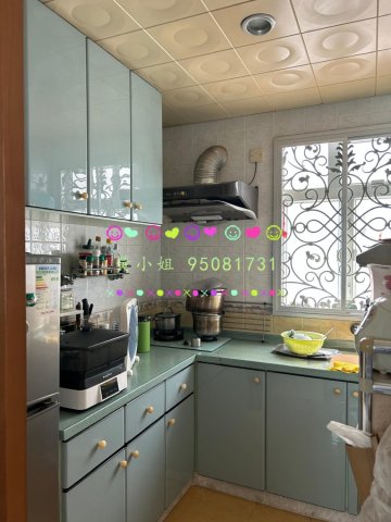 南坑村  95081731