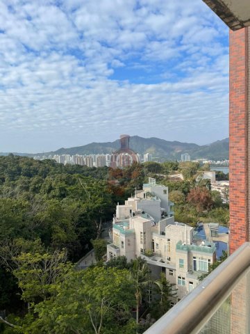 翡翠花園 大埔 1652160 售盤