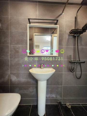 布心排  95081731