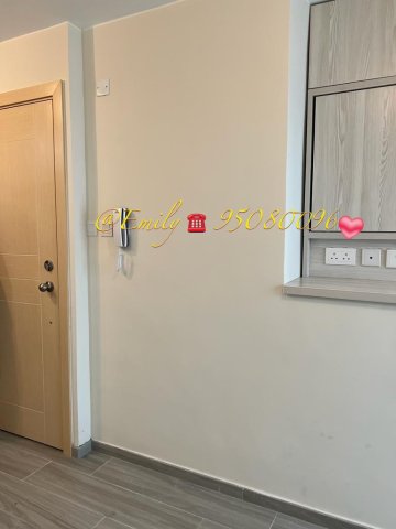 下徑口 @ EMILY 95080096