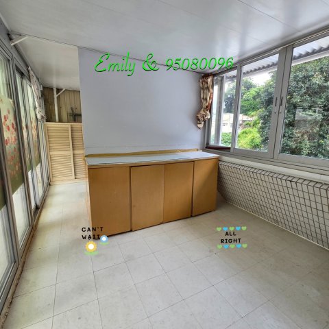 排頭村 @ EMILY 95080096