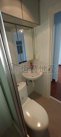 SHAN TSUI COURT BLK D TSUI PIK HSE (HOS)