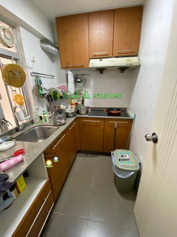 沙田圍舊村 @ EMILY 95080096