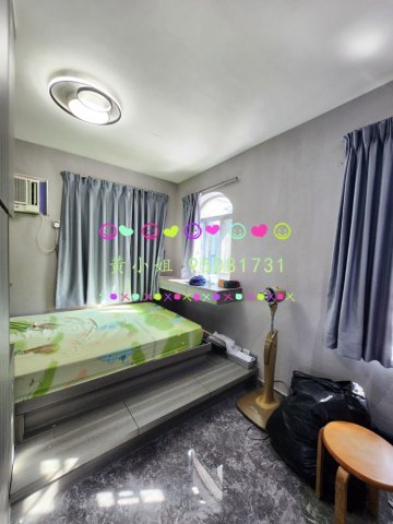 新屋家村  95081731