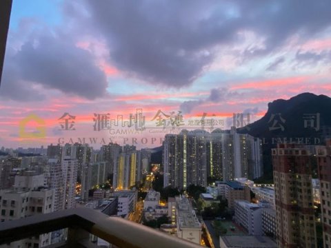 匯豪山^一次過睇晒 黃大仙 高層 D130304 售盤