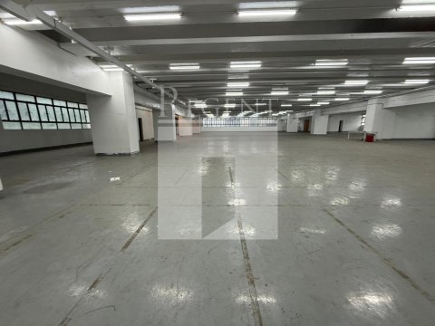 Tai Po Industrial, Tai Ping Industrial Park