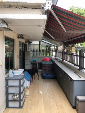 元嶺村 95080030