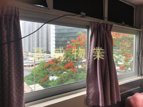 排頭村