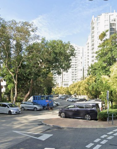 銅鑼灣新村 95080030