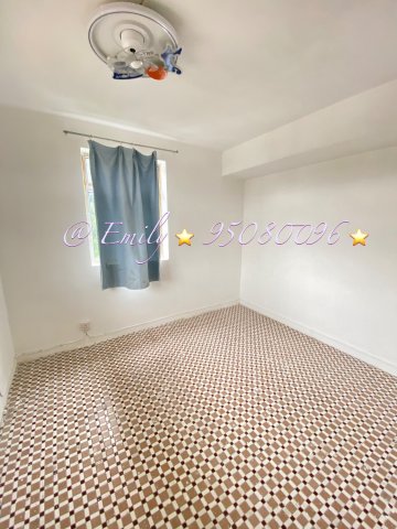 九肚村 @ EMILY 95080096