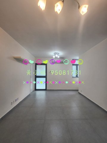 洞梓  95081731