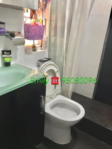 花園城 @ EMILY 95080096