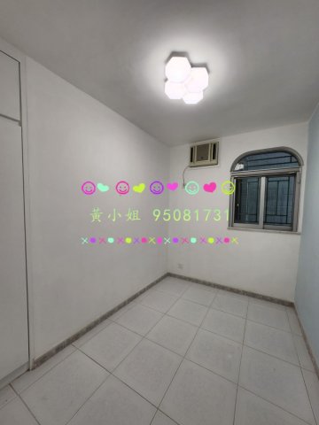 布心排  95081731