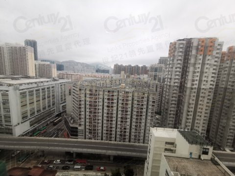悅目