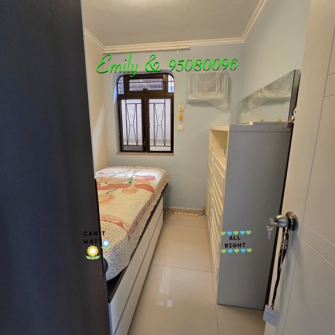 排頭村 @ EMILY 95080096