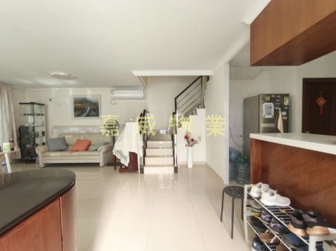 半山洲 @ EMILY 95080096