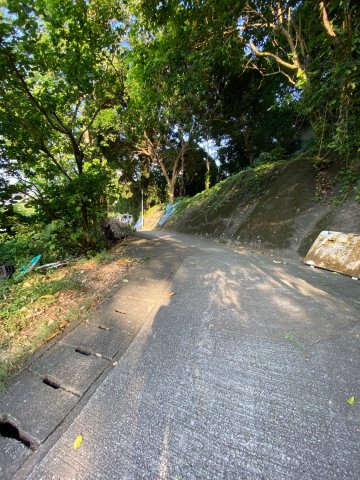 沙田圍舊村 @ EMILY 95080096