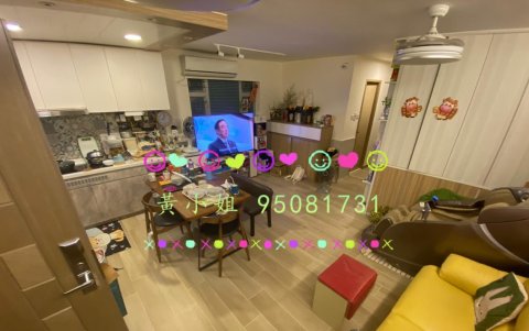 桐梓圍下村  95081731