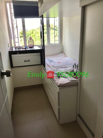 花園城 @ EMILY 95080096