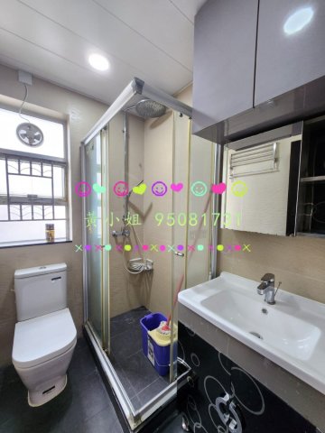 布心排   95081731