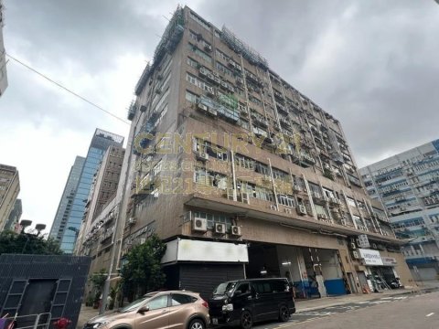 九龙湾工业中心 九龙湾 低层 C156589 售盘
