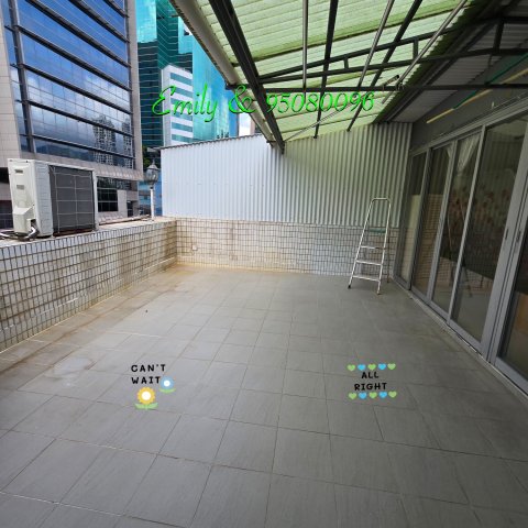 排頭村 @ EMILY 95080096