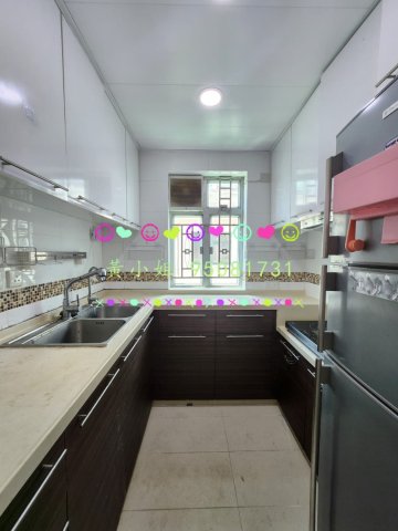 汀角村   95081731