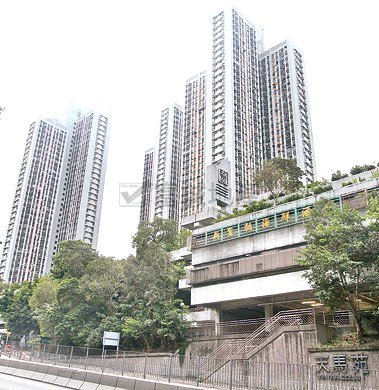 天馬苑 橫頭磡 高層 F125039 售盤