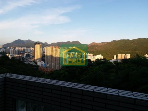 福來別墅 沙田 高層 T166046 售盤