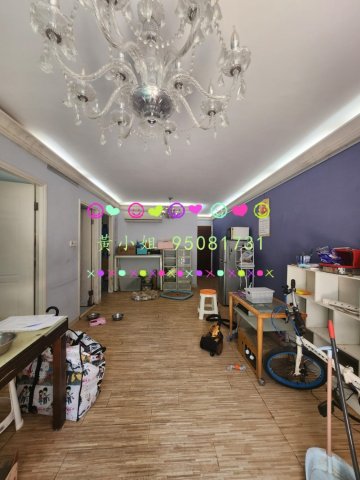 新屋家村  95081731