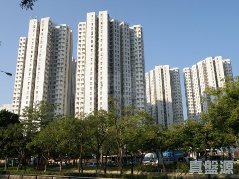 翠麗花園 上水 低層 1673990 售盤