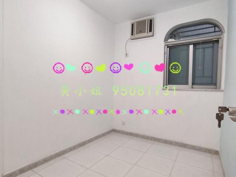 布心排  95081731
