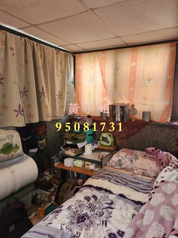 鳳園村   95081731