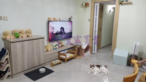 大棠●新楼龄屋苑式中层 元朗 中层 005202 售盘