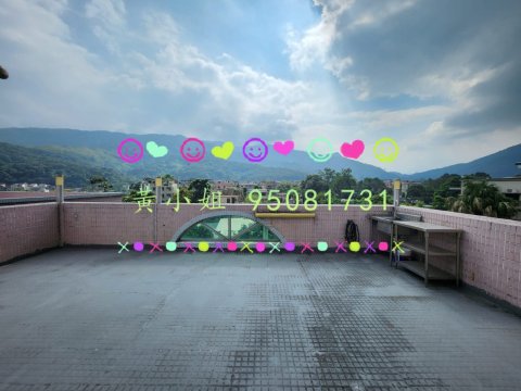 林村新村   95081731