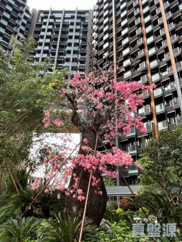 ONE INNOVALE 粉岭 高层 1652188 售盘