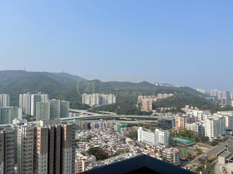 柏傲庄 沙田 中层 1698834 售盘