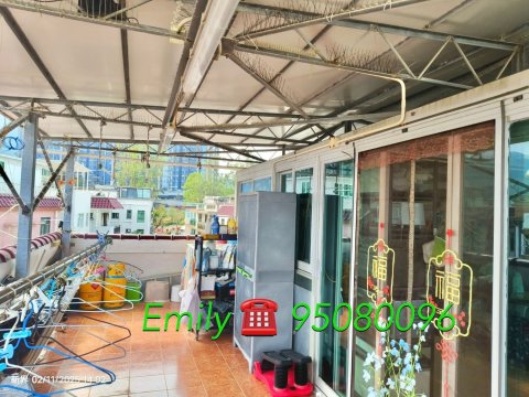 井頭村 @ EMILY 95080096