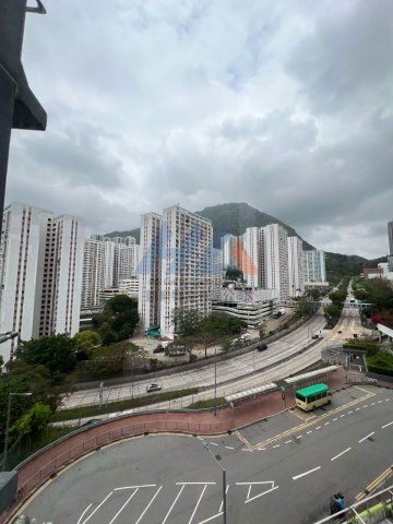 彩興苑 A座 彩萱閣