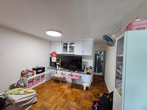 洞梓山路      95081731
