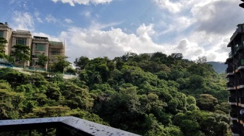 荟荞 沙田 中层 1698394 售盘
