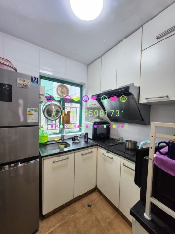 新屋家村  95081731