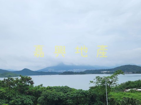布心排    95081731