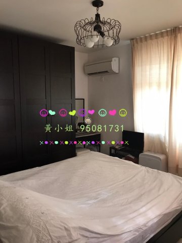 95081731