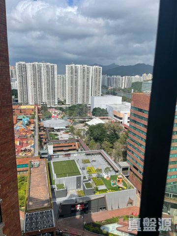 新城市广场 沙田 高层 1695456 售盘
