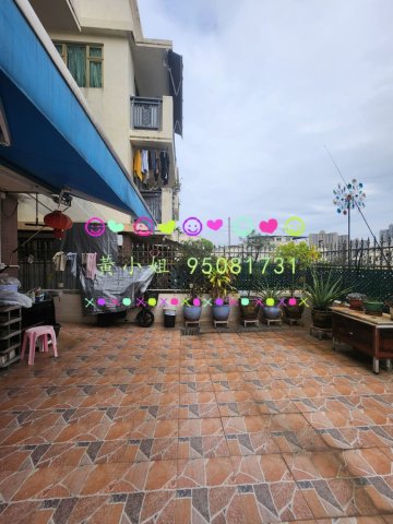 華樂豪庭   95081731