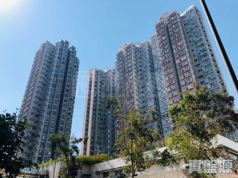 上水名都 上水 高層 1687366 售盤