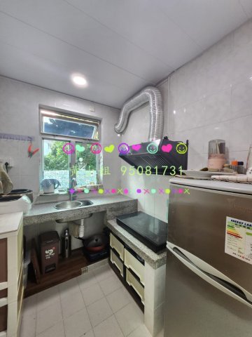 新屋家村  95081731