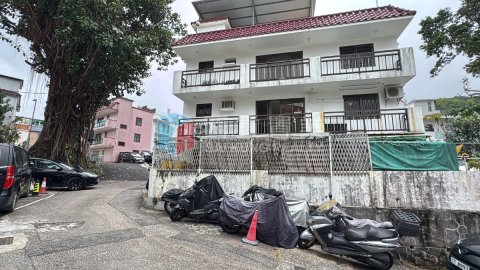 菠蘿輋