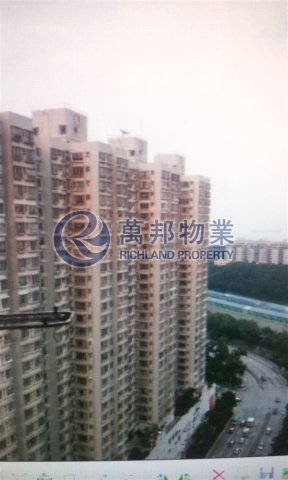 YAT NGA COURT
